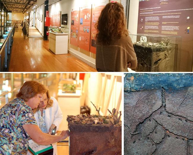 Exposición 'El suelo. Un paseo por la vida'