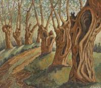Imagen de la exposición 'SueloArte. Pintando con suelo'