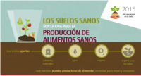 Los suelos sanos son la base para la producción de alimentos saludables