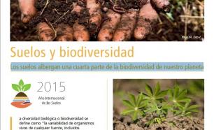 Hoja de datos sobre los suelos y la biodiversidad