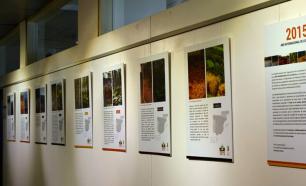 Los suelos y la biodiversidad forestal