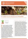 El suelo es un recurso no renovable, FAO 2015